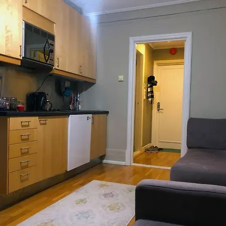 公寓 Super-central And Attractive 奥斯陆